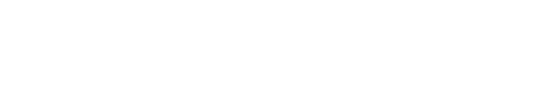 Vanguard Properties